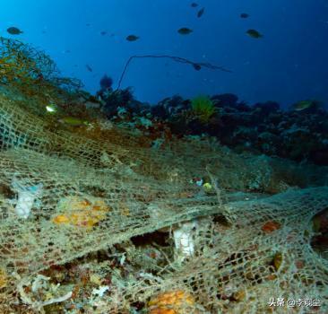 我国近海养殖区污染有多严重?形势很严峻很多人却不知道(图11)