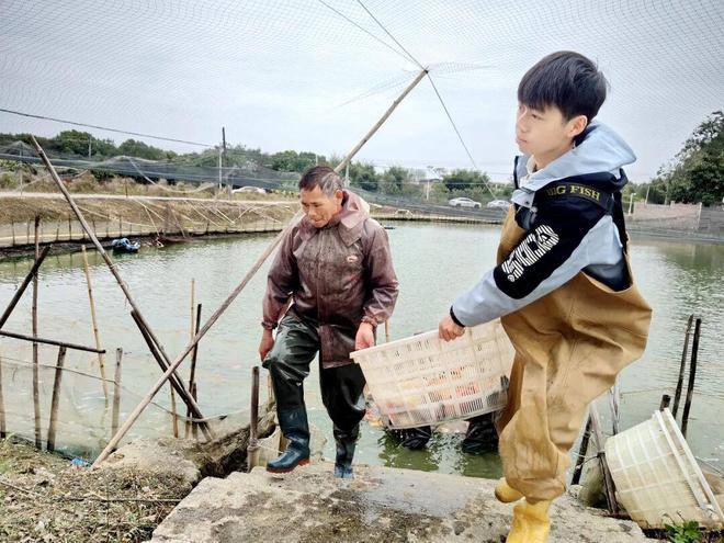 满塘金鱼喜丰收！三坑镇竹楼村特色养殖“养”出好光景(图4)