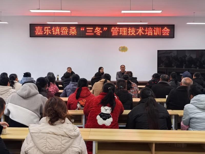 冬季管护正当时技术赋能促产优​——高县嘉乐镇“三步走”创新开展蚕桑“三冬”管理培训(图1)