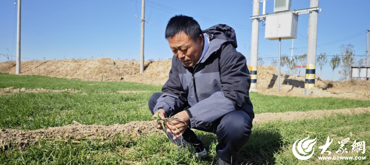 通水+养地+科技增产“三板斧”筑起德州种粮大户孙景茂家的吨半“良”田(图1)