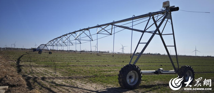 通水+养地+科技增产“三板斧”筑起德州种粮大户孙景茂家的吨半“良”田(图3)