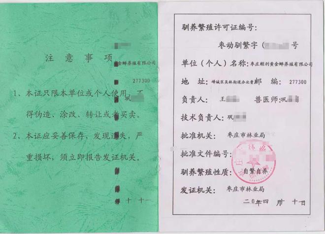 亲测专业金蝉养殖品牌实践分享(图1)