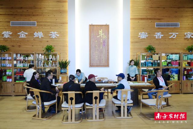 品牌价值超35亿元!这款被“虫”咬过的广东茶凭什么出圈?(图14)