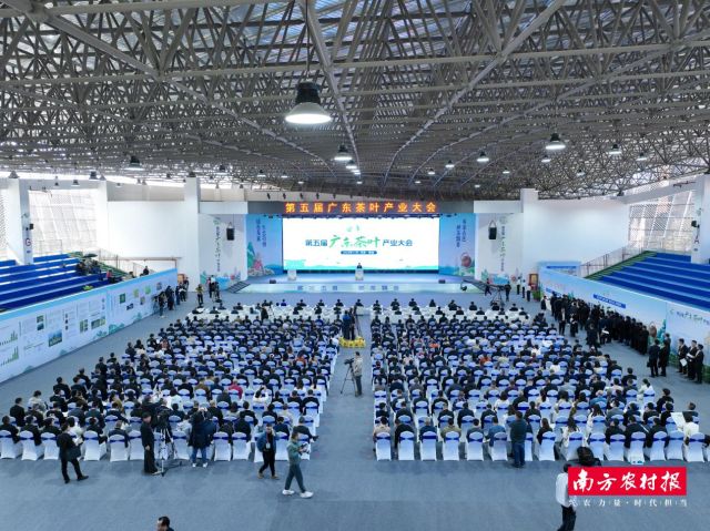 品牌价值超35亿元!这款被“虫”咬过的广东茶凭什么出圈?(图11)