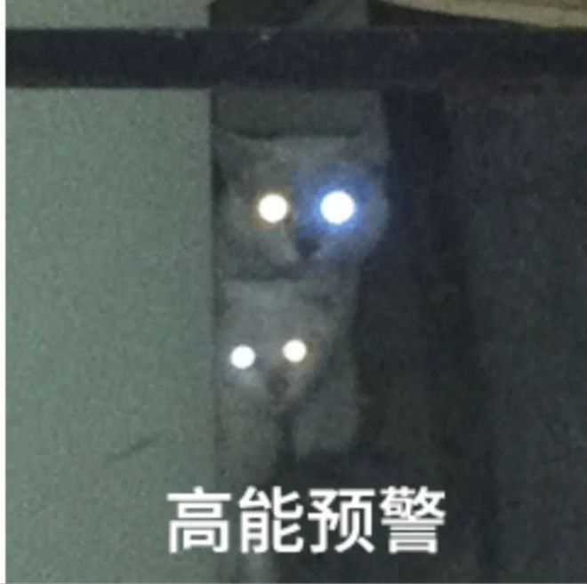 密恐勿进!小虾米从墙上的小石块中蹦出来啦?凑近吓你一跳(图3)