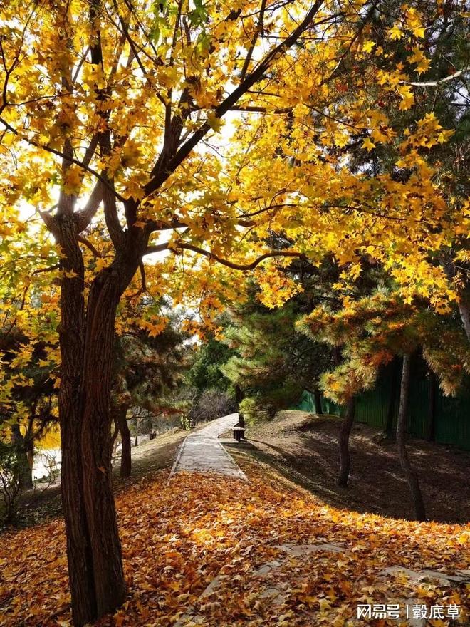 卡梅隆的作品:不朽经典的诞生(图1)