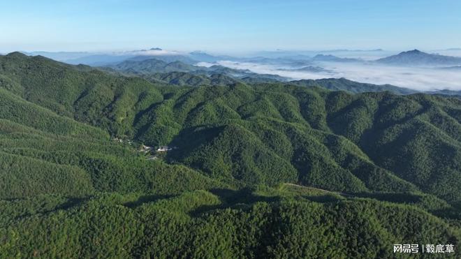 卡梅隆的作品:不朽经典的诞生(图2)