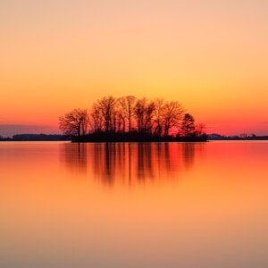 金蝉孵化技术(图1)