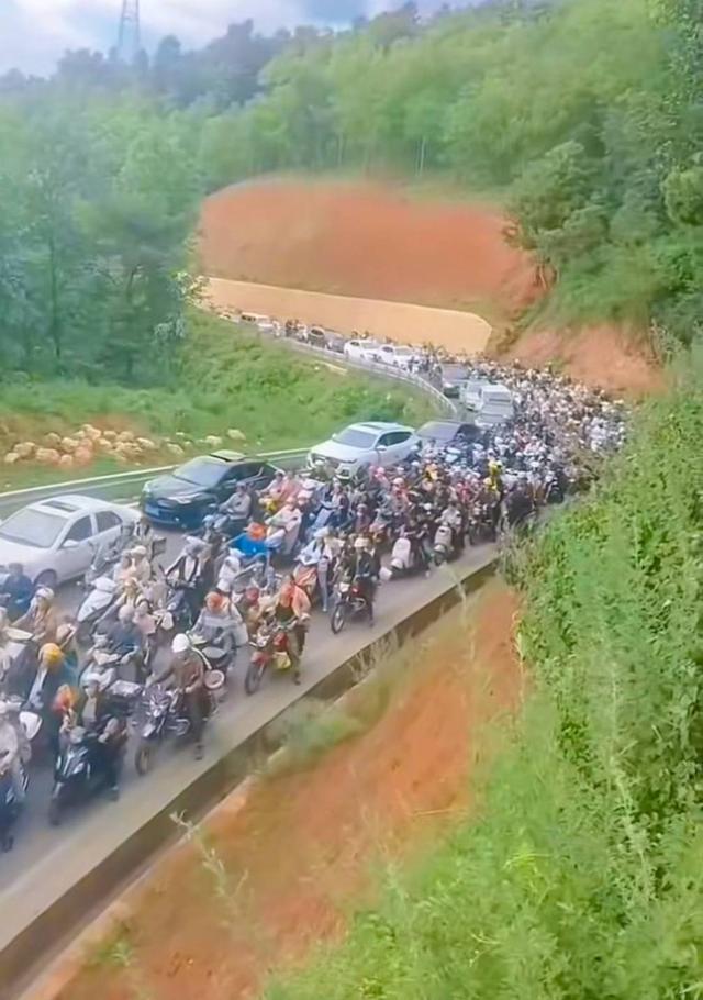 四川凉山一县城上万人抓金蝉为什么抓不完?(图8)