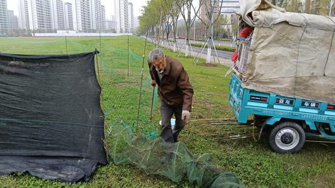 公共绿地成“私家养殖场”城管柔性执法显温度(图1)