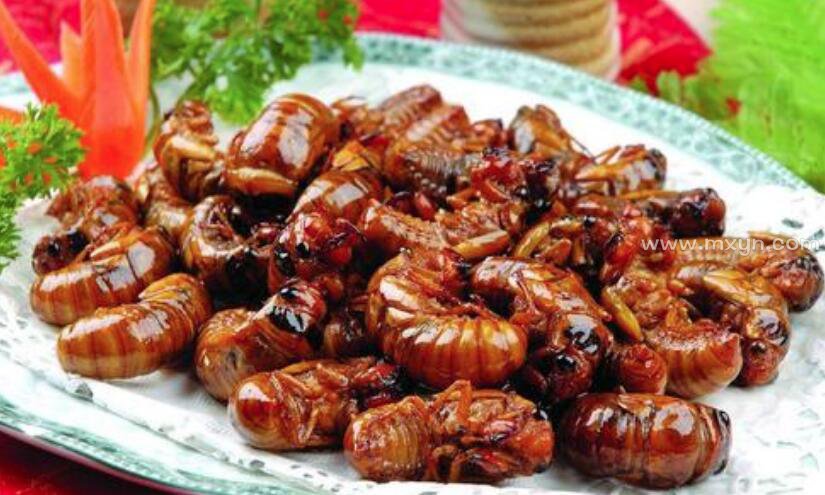 梦见知了猴(图2)